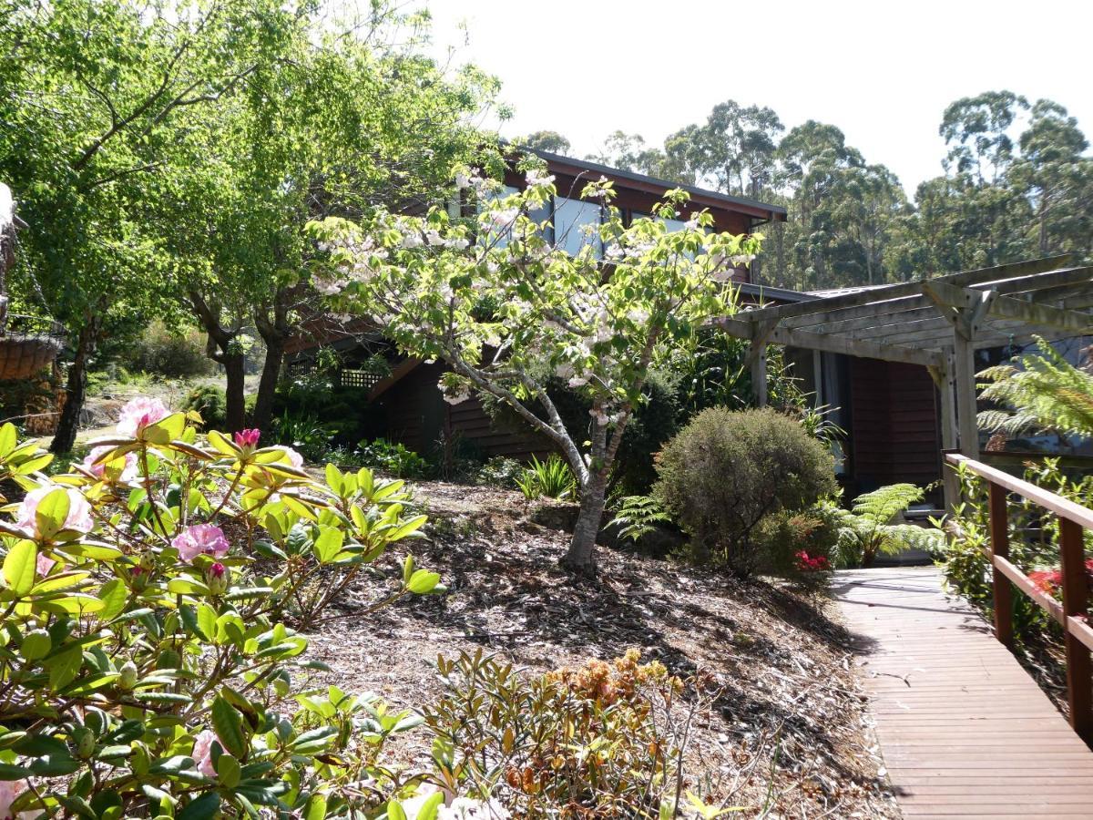 איגלהוק נק Osprey Lodge & Bungalow מראה חיצוני תמונה